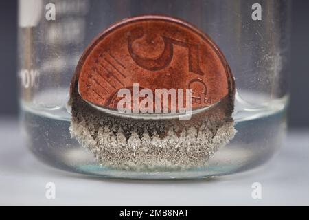 Metallo reazione di spostamento. La soluzione di nitrato d'argento (AgNO3,  sinistra) è un filo di rame (Cu) in esso inseriti. Il rame è un metallo  reattivo a si Foto stock - Alamy