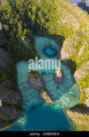 Le isole rocciose, composte di calcare, sorgono dal mare tropicale in Raja Ampat, Indonesia. Queste isole sono antiche barriere coralline innalzate. Foto Stock