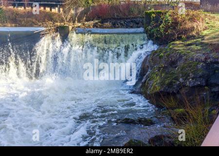 Una vista del Brewery Park con una delle cascate di Tumwater Falls. Foto Stock