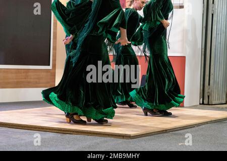 Fiammingo. Donne che fanno flamenco. FITUR. IFEMA. Fiera turistica. Evento che si svolge ogni anno a Ifema, nella città di Madrid, Spagna. MADRID Foto Stock