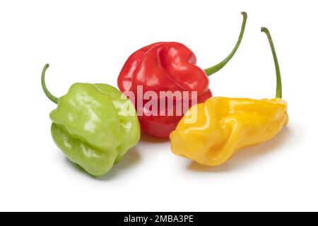 Gruppo di peperoncini rossi, verdi e gialli freschi di scorpione isolati su fondo bianco Foto Stock