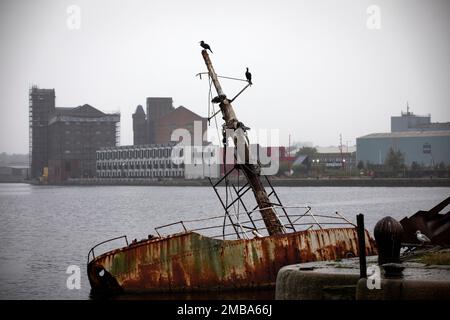 Guardando attraverso l'East Float dock a Birkenhead verso uno sviluppo urbano Splash Housing a Wirral Waters Wirral Waters farà parte del Liverpool City Region Freeport, che è stato annunciato di recente dal governo conservatore. Foto Stock