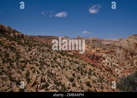 Vista dal sentiero Bear Canyon Rim Trail al Capitol Reef National Park, Utah, Stati Uniti Foto Stock