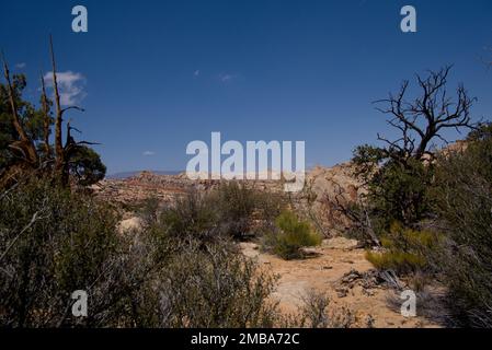 Vista dal sentiero Bear Canyon Rim Trail al Capitol Reef National Park, Utah, Stati Uniti Foto Stock