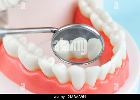 Denti falsi, ganasce. Strumenti per odontoiatria e concetto di controllo dell'igienista dentale cura dentale e concetto di attrezzatura per odontoiatria. Spazio di copia. Modello dente US Foto Stock