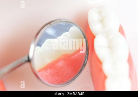 Denti falsi, ganasce. Strumenti odontoiatrici e controllo igienista dentale Concept Dental Model. Primo piano modello dente mock dente su sfondo blu, chiudi- Foto Stock