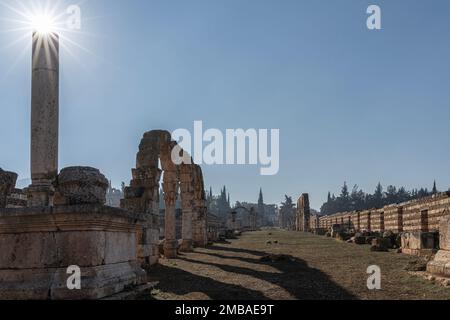 Le rovine romane di Anjar, Libano Foto Stock