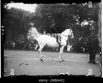 Hyde Park, City of Westminster, Greater London Authority, 1906. Un poliziotto montato su un cavallo bianco in una riunione del Four-in-Hand Club a Hyde Park. I Four-in-Hand Club sono un coaching club fondato nel 1856 che si è incontrato due volte all'anno a Hyde Park per la guida in carrozza. Foto Stock