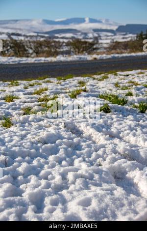 Brecon, Regno Unito. 20th Jan, 2023. Una splendida giornata di inverni soleggiati vicino al piccolo villaggio di Libanus nel Parco Nazionale di Brecon Beacons, ancora innevato questo pomeriggio, mentre il clima gelido continua. Credit: Phil Rees/Alamy Live News Foto Stock