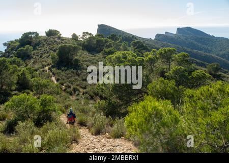 Camminando lungo il sentiero nel Parco Naturale Serra Gelada vicino a Benidorm, Spagna. Foto Stock