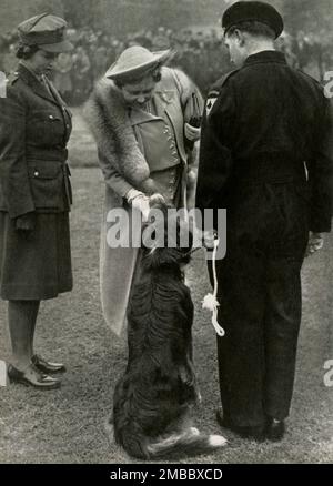 Addio alla difesa civile, 10 giugno 1945, (1947). Parata stand-down delle forze di difesa civile, Hyde Park, Londra, fine della seconda guerra mondiale. Principessa Elisabetta (futura regina Elisabetta II) e sua madre la regina ammirano Pietro, un membro di una delle squadre di salvataggio canine. Da "Principessa Elisabetta: La storia illustrata di ventuno anni nella vita dell'erede presuntivo", di Dermot Morrah. [Odhams Press Limited, Londra, 1947] Foto Stock