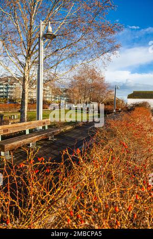 Il lungomare lungo il lungomare di Steveston nella British Columbia Canada Foto Stock