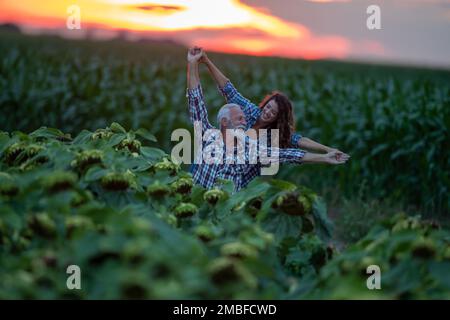 Felice padre e figlia agricoltori che alzano le armi e ridendo per il successo in agricoltura su campo di girasole al tramonto Foto Stock