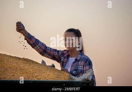 Ritratto della donna soddisfatta sul rimorchio del trattore che tiene i semi di mais in mano dopo il raccolto in autunno Foto Stock