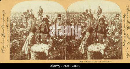 Abbiamo fatto tutto il Mornin di dis." [Ragazze con cesto di cotone nel campo], (1868-1900?). Foto Stock