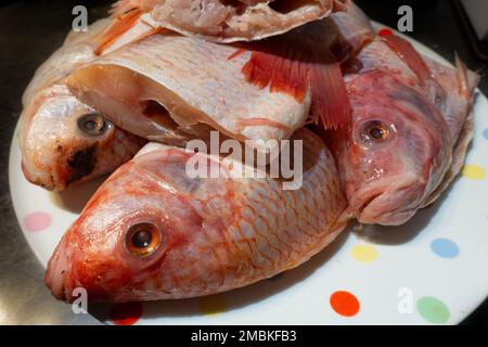 Pesce dentice rosso, tagliato a metà su un piatto pronto per la cottura Foto Stock