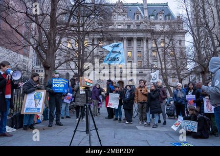 New York, New York, Stati Uniti. 20th Jan, 2023. (NUOVO) gli attivisti del clima protestano chiedendo al presidente Biden di dichiarare un'emergenza climatica. 20 gennaio 2023, New York, New York, USA: Gli attivisti del clima tengono bandiere e segni durante una protesta per onorare la vita di Joye Braun chiedendo che il Presidente Biden dichiari un'emergenza climatica al City Hall Park il 20 gennaio 2023 a New York City. (Credit Image: © M10S/TheNEWS2 via ZUMA Press Wire) SOLO PER USO EDITORIALE! Non per USO commerciale! Foto Stock