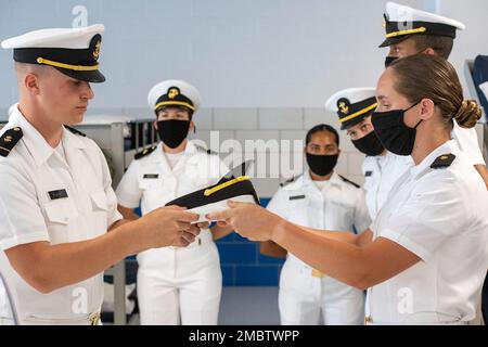 220622-N-ZW825-0538 GRANDI LAGHI, ILL. (22 giugno 2022) Un corpo di addestramento degli ufficiali della Riserva Navale (NROTC) New Student Indoctrination (NSI) i rapporti del candidato dell'ostetrica presentano la sua copertura di combinazione durante un'ispezione di uniforme bianca estiva al comando di addestramento del reclutamento (RTC), giugno 22. Al termine dell'NSI, i candidati inizieranno il loro anno nuovo del programma NROTC presso le università e le università nazionali questo autunno. NSI è un programma di indottrinamento ospitato presso RTC, e fornisce agli ostetrica un orientamento di addestramento militare comune. NSI fornisce una formazione di base in cinque nozioni fondamentali sulla lotta contro la guerra Foto Stock