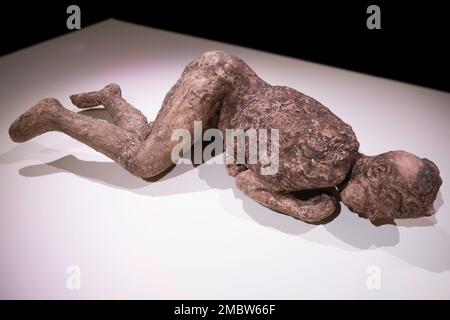 Calco in gesso di un corpo, rinvenuto nell'antica città di Pompei, esposto su una tavola bianca nel Museo dei Drents ad Assen, nei Paesi Bassi Foto Stock