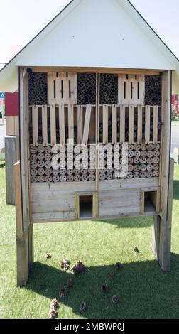 bug hotel insetto casa di legno dare protezione e nidificazione aiuto per api e altri insetti nel parco naturale foresta Foto Stock