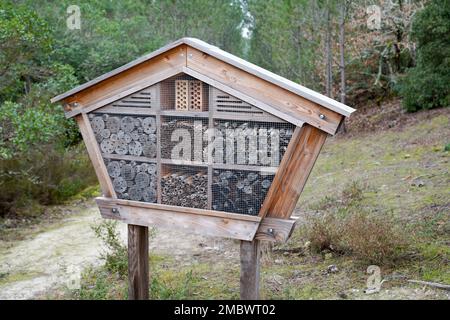 Insetto hotel dare protezione e aiuto nidificazione per api e altri insetti nella foresta naturale del parco Foto Stock