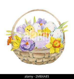 Acquerello disegnata a mano la clipart di festa di Pasqua. Cestino con uova dipinte, erba, coniglietti, fiori primaverili. Isolato su sfondo bianco Design per Foto Stock