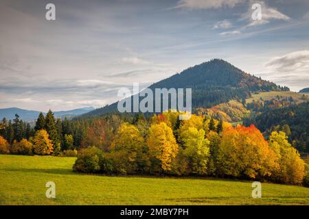 Paesaggio autunnale con alberi e colline dai colori vivaci sullo sfondo. Regione di Orava nella Slovacchia settentrionale, in Europa. Foto Stock