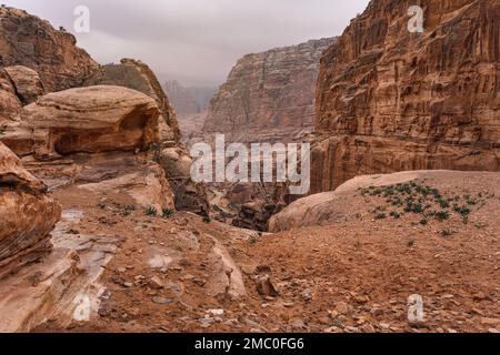 Tipico paesaggio diurno a Petra, Giordania, pareti rocciose intorno a canyon stretto, pochi piccoli cespugli che crescono in un terreno rosso polveroso Foto Stock