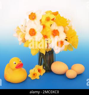 Felice vacanza di Pasqua concetto di primavera con uova decorative, fiori di daffodil, anatra plastica giallo novità. Bello, divertimento di festa, simboli. Foto Stock