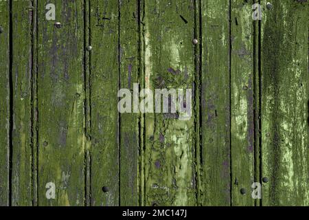 Vecchio sfondo di legno rustico dipinto di verde, bacheca vuota con vecchi graffette ossidate e thumbtacks, grunge texture Foto Stock