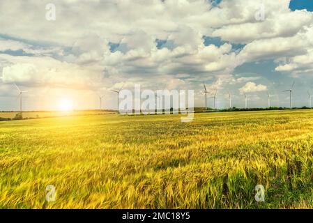 Centrali eoliche sul campo con nuvole nel cielo, Eco Power, turbine eoliche a San Jorge, Nicaragua Foto Stock