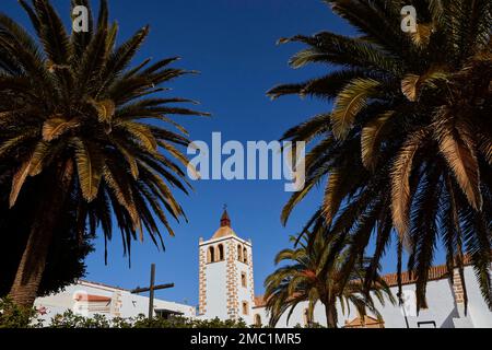 Betancuria, Chiesa di Santa Maria de Betancuria, campanile, croce, palme, Villa Historica, Fuerteventura, Isole Canarie, Spagna Foto Stock