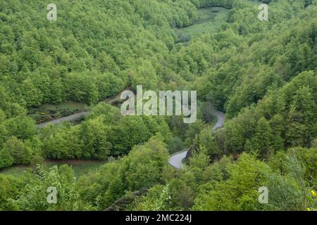 Strada di montagna curvy tra foreste verdi nella provincia di Leon, Spagna Foto Stock