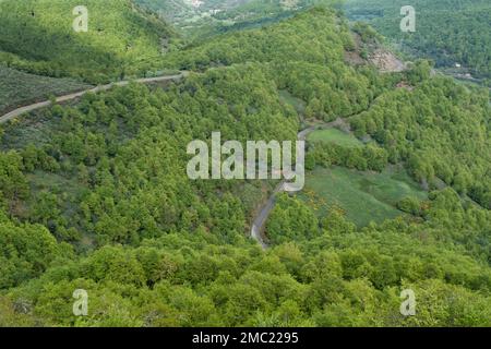 Strada di montagna curvy tra foreste verdi nella provincia di Leon, Spagna Foto Stock