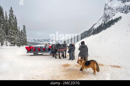 Lago Louise, Alberta, Canada – 14 gennaio 2023: Le persone si riuniscono intorno a una slitta trainata da cavalli sul lago ghiacciato Foto Stock