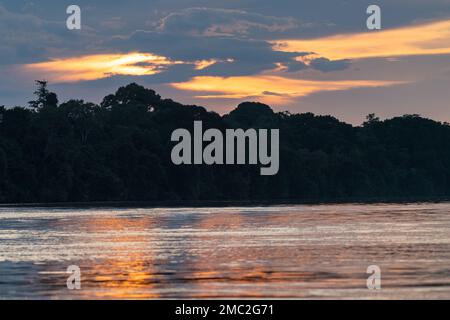 Tramonto sul fiume Kinabatangan, Borneo, Malesia Foto Stock