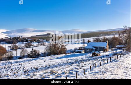 Tomintoul Moray Scozia Glenlivet Estate inverno e coperto di neve casa e colline nel mese di gennaio Foto Stock