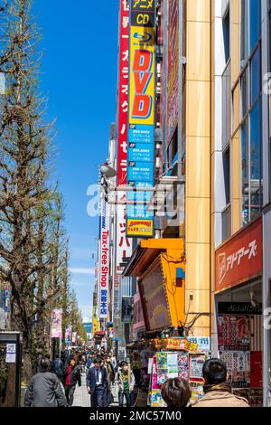 Vista lungo Chuo-dori presso il centro elettronico Akihabara di Tokyo. Occupato con la gente che cammina fra la fila dei depositi alti da un lato e gli alberi dall'altro. Foto Stock