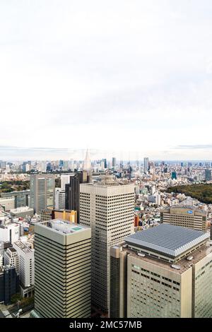 Vista dalla Tokyo Metropolitan edificio torre nord observation deck di sud-est di Tokyo con la KDDI e edifici di Yoyogi. Coperto. Lo spazio negativo. Foto Stock