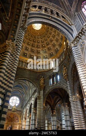 Frammento dell'interno assolutamente stupefacente del Duomo di Siena, Italia Foto Stock