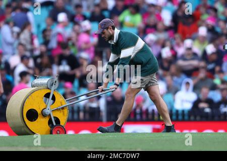 21st gennaio 2023; Sydney Cricket Ground, Sydney, NSW, Australia: Big Bash T20 League Cricket, Sydney Sixers contro Sydney Thunder; il personale di terra tira il wicket Foto Stock