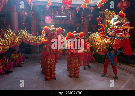 Chiang mai, Thailandia. 21st Jan, 2023. I ballerini ballano draghi e leoni durante il Capodanno lunare cinese al Santuario di Guan Yu Bo Bia. La celebrazione del nuovo anno lunare cinese, dopo due anni sotto severe restrizioni Covid, finalmente si festeggia il nuovo anno lunare cinese 2023. Il nuovo anno lunare cinese, o Primavera Festival, cade il 22 gennaio 2023 e annuncia l'inizio dell'anno del coniglio. Credit: SOPA Images Limited/Alamy Live News Foto Stock