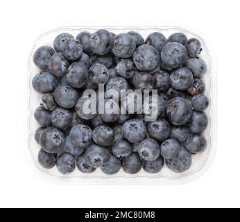 Mirtilli freschi interi, in un fusto di plastica trasparente, dall'alto. Frutti crudi di di Vaccinium corymbosum di colore blu scuro, maturi. Foto Stock