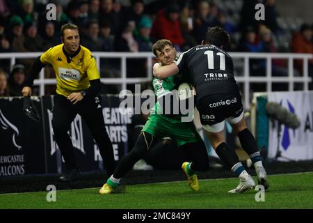 Ben Stevenson di Newcastle Falcons è affrontato in alto da Alex Wootton durante la partita della European Challenge Cup tra Newcastle Falcons e Connacht Rugby a Kingston Park, Newcastle, sabato 21st gennaio 2023. (Credit: Chris Lishman | NOTIZIE MI) Credit: NOTIZIE MI & Sport /Alamy Live News Foto Stock