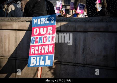 Londra, Regno Unito. 21st Jan, 2023. Un cartello visto durante la protesta Trans Rights. Le proteste si sono svolte a Londra in seguito al blocco da parte del governo britannico della riforma del riconoscimento di genere approvata nel dicembre 2022. Credit: SOPA Images Limited/Alamy Live News Foto Stock