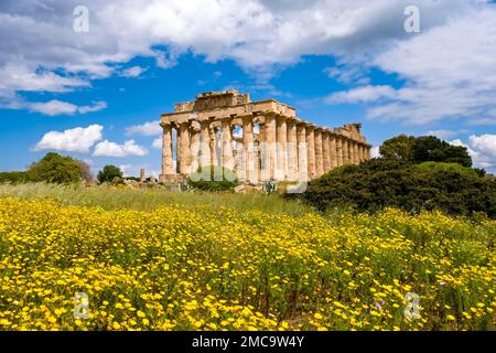 Rovine e colonne del tempio di Hera nel sito archeologico di Selinunte, resti dell'antica città greca di Selinus. Foto Stock