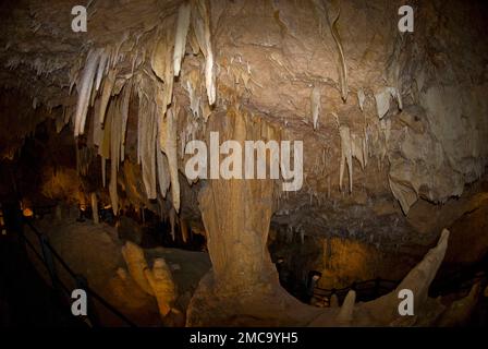 Grotta con stalattiti e stalagmiti, Grotta di Ngilgi, Fiume Margaret, Australia Foto Stock