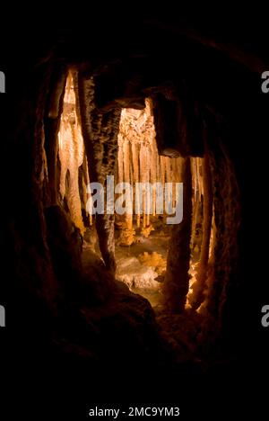 Insolite stalattiti che si formano all'interno della grotta, Ngilgi Cave, Margaret River, Australia Foto Stock