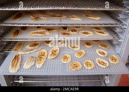 Banane essiccate sulla griglia di un disidratatore elettrico. Foto Stock