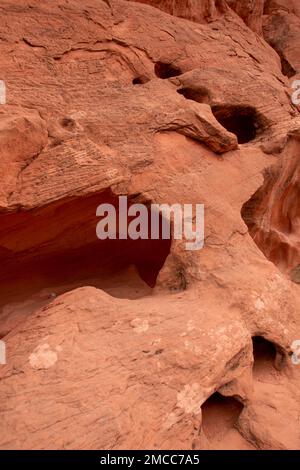 Il Valley of Fire state Park in Nevada ospita molte interessanti formazioni rocciose. Foto Stock